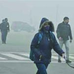 Delhi to Turn into a Tulip City: 5.17 Lakh Blooms to Adorn the Capital from Lodhi Garden to Shanti Path