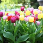 Weather Update: Winter Knocks on Delhi-NCR! Noticeable Chill in Mornings and Evenings, IMD Shares Nationwide Forecast