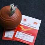 Check-in Systems Crash at Multiple Airports Across India; 42 Flights Cancelled in Bengaluru, Impact Seen in Delhi Too