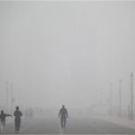 Misleading figures on rabies infection, animal cruelty, and stray animals are presented in India – Sankshay Babbar